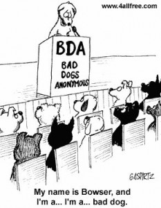 bad dog bad dog comment
